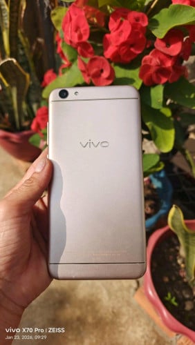 Vivo 18
