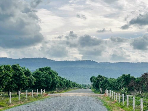 ដីលំហែរស្រស់ស្អាត