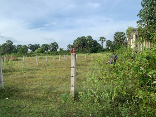 ដីលក់មានប្លង់រឹង