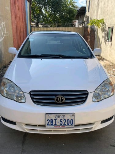 ស្រុីនមួយជុំម្ចាស់ដើម