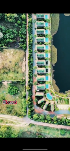 ដីលក់បន្ទាន់ ក្រោមទីផ្សារ ភូមិបារាំងកំពត