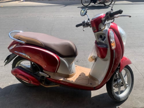 មានកាតគុបពី