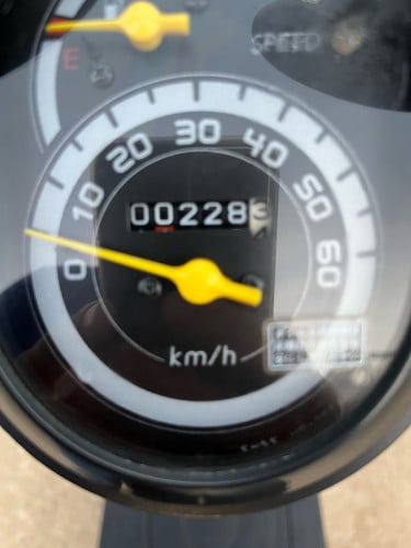 កូនទាជប៉ុនលក់