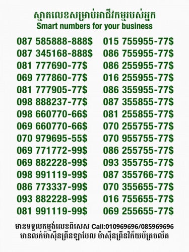 លេខពិសេសសម្រាប់អាជីវកម្ម
