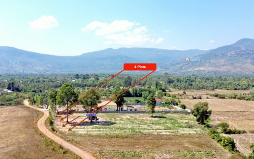 ដីនៅជើងភ្នំបូកគោ – ល្អសម្រាប់អាជីវកម្មខ្នាតតូច - english below