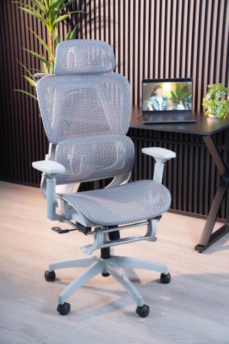 Ergonomics office chairs