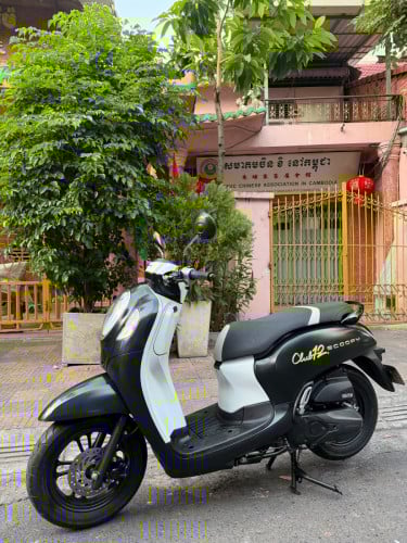 Honda Scoopy