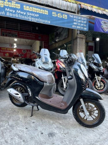 Honda Scoopy 2024