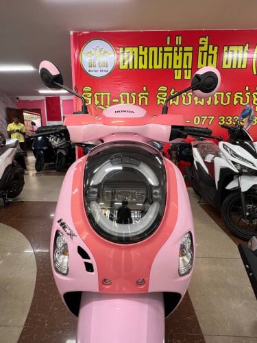 Honda Scoopy 2026 new