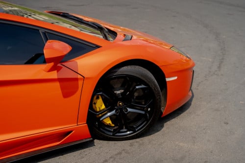 Lamborghini aventador (គោរព្រៃអភិជន)