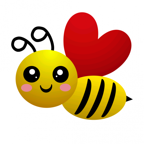 looking for investment