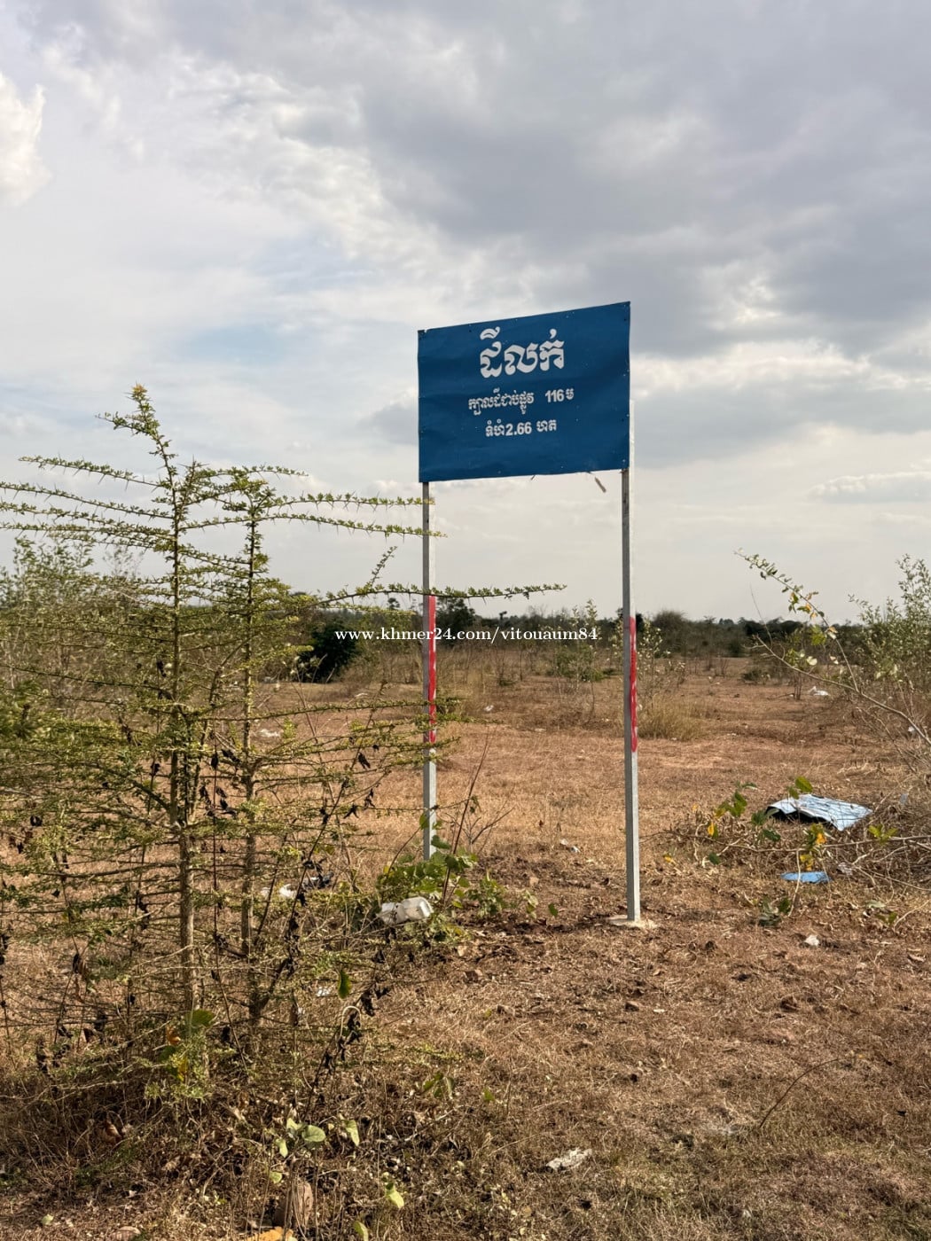ម្ចាស់ផ្ទាល់លក់ប្រញាប់