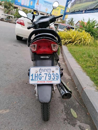 ម្ចាស់ដើម