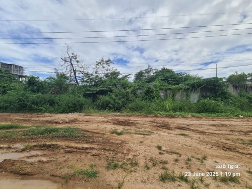 ដីជួលផ្លូវ20m សង្កាត់ទួលសង្កែ ខណ្ឌប្ញស្សីកែវ