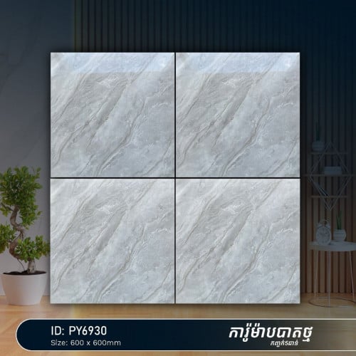 ការ៉ូបាត​ 60x60