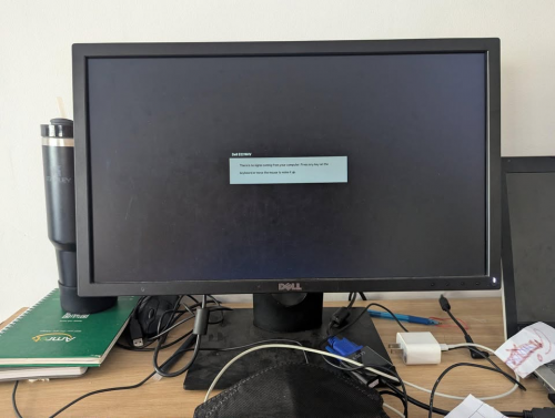 DELL Monitor 22 inch 98%