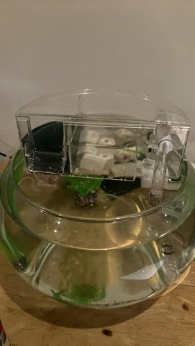 Fish tank and filter