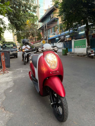Honda Scoopy