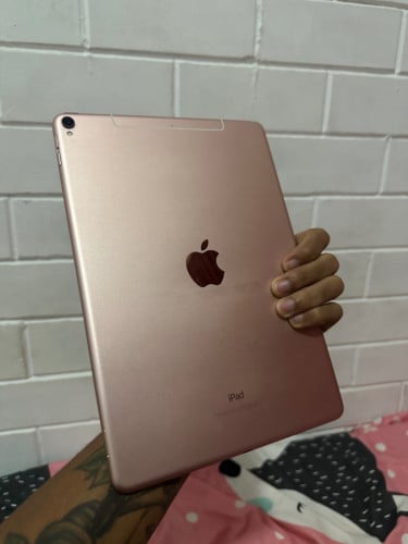 Ipad 10.5 256g sim+wifi