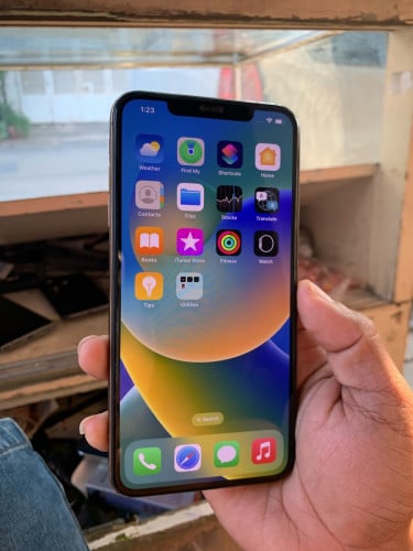 Xs max 245G