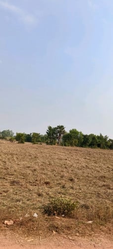 ដីលក់បន្ទាន់តម្លៃក្រោមទីផ្សារ