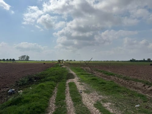 ដី ចំការលក់