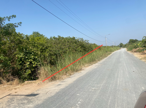 ម្ចាស់ផ្ទាល់ ប្រញាប់លុយ