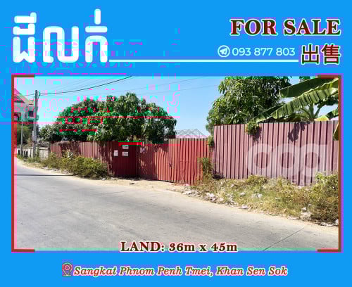 ដីលក់ នៅភ្នំពេញថ្មី