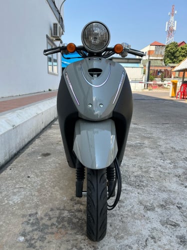 កូនទាជប៉ុនលក់