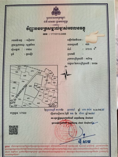 ដីលក់ជិតផ្លូវចូលព្រលាន្តថ្មី សៀមរាប (SAI)