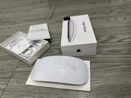 Apple magic mouse - USB - C