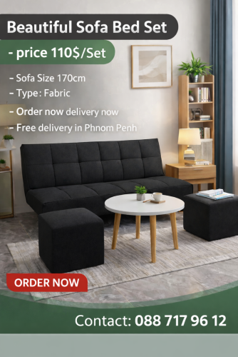 Beautiful Sofa Bed Set