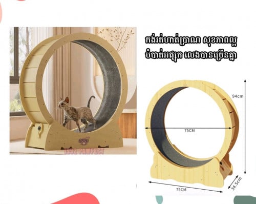 Cat Running Wheel