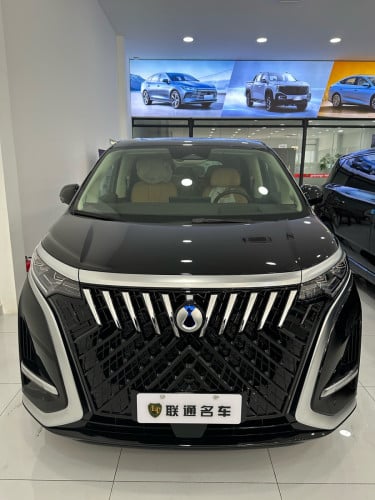 Denza D9 សុាំងលាយអគ្គិសនី