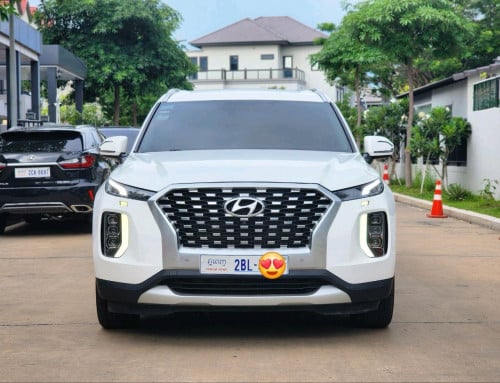Hyundai palisade 2020