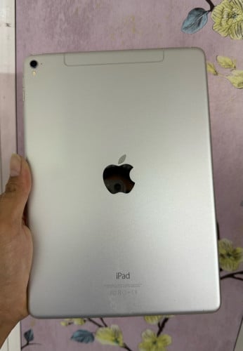 ipad Pro 9.7  256G