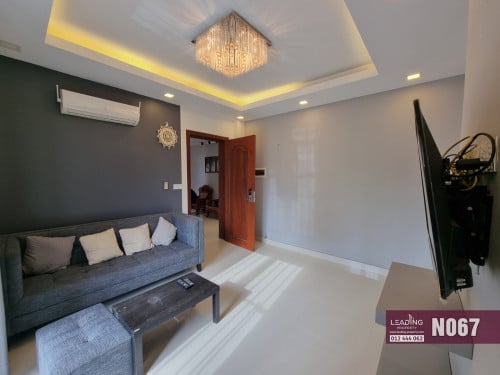 N067 | Nice Western Serviced Apartment For Rent in Toul Kork