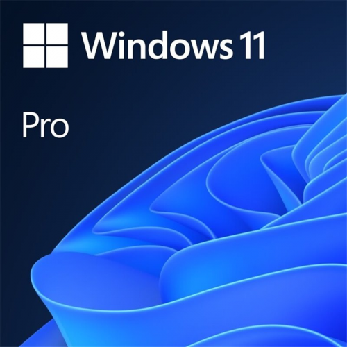 Windows 10/11 Pro