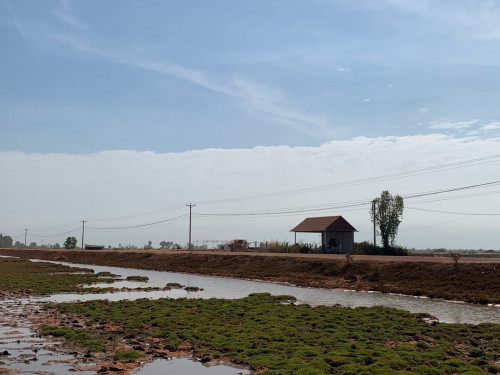 ដីសម្រាប់លក់ ឬជួល
