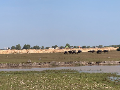 ដីសម្រាប់លក់ ឬជួល