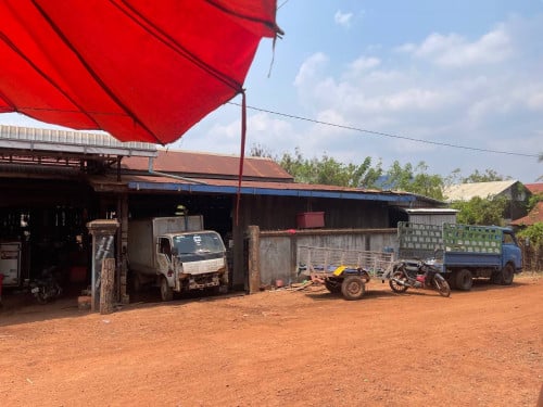 សេង អាជីវកម្មទឹកកក