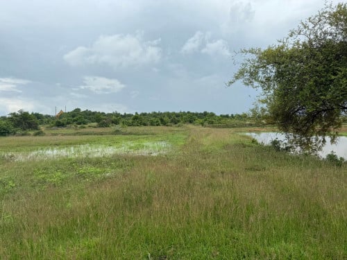 ទំហំ​ដី​ ចំការ​ និង​ដី​ស្រែ​ 5 ហិតា​ប្លង់​រឹង​