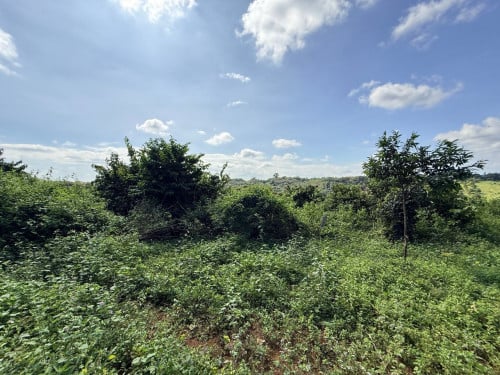 🏦Land Available for Urgent Sale at a Special Price (Negotiable).