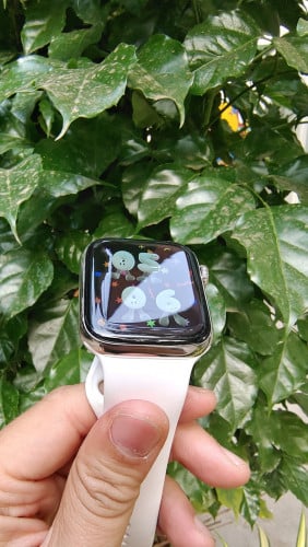 Apple Watch S5 Sliver stainlessness Steel 44mm