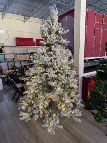 H2.5 មានច្រេីនបានមកថ្មី