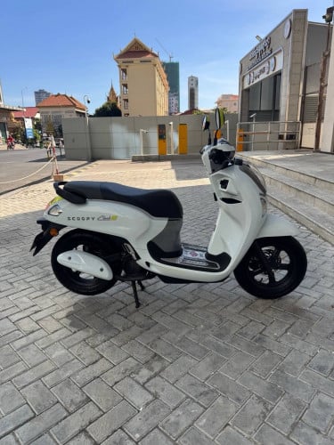Honda scoopy 2025