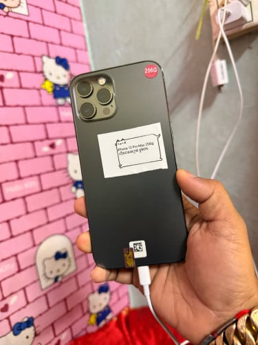 iPhone 12 Pro Max 256G zin all ដាន