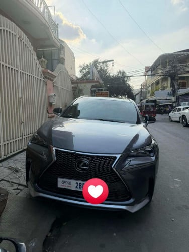 NX 200T 2015 Fsport P2 ឈើរី