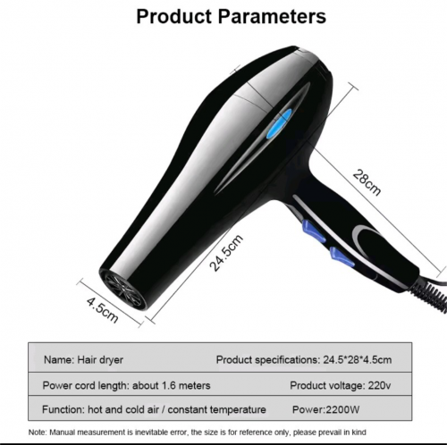 Professionell Hair Dryer
