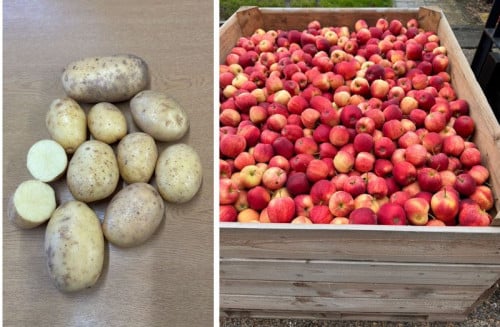 Sales Manager – Cambodia Market (Fresh Vegetables & Fruits) Wholesales